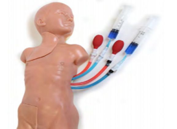 https://jayakelana.id.202-10-43-6.cpanel.site/uploads/product/pediatric-non-sterile-guidewires-25-25646979a20a7c9_cover.png