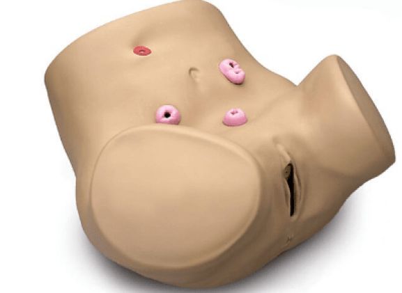 https://jayakelana.id.202-10-43-6.cpanel.site/uploads/product/pelatih-keterampilan-ostomi-perawatan-275226f46bac0bd_cover.png