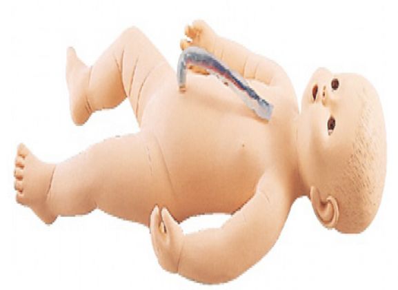 https://jayakelana.id.202-10-43-6.cpanel.site/uploads/product/sakamoto-bayi-perempuan-m107-4--832713460d4a259_cover.png