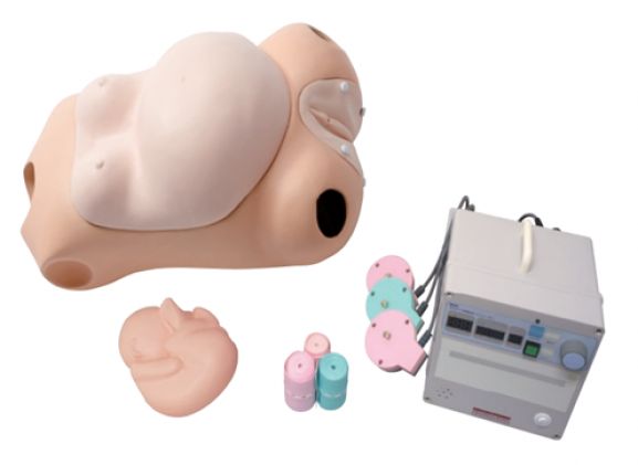 https://jayakelana.id.202-10-43-6.cpanel.site/uploads/product/sakamoto-cardiotocograph-simulator-m191--3796317d2ae8673_cover.png