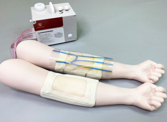 https://jayakelana.id.202-10-43-6.cpanel.site/uploads/product/sakamoto-iv-injection-trainer-85370176ffb9f32_cover.jpg