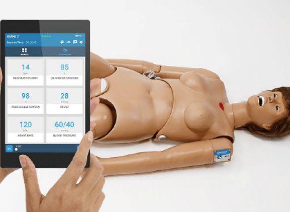 https://jayakelana.id.202-10-43-6.cpanel.site/uploads/product/susie-simon-nursing-97507492ac9adbf_cover.png