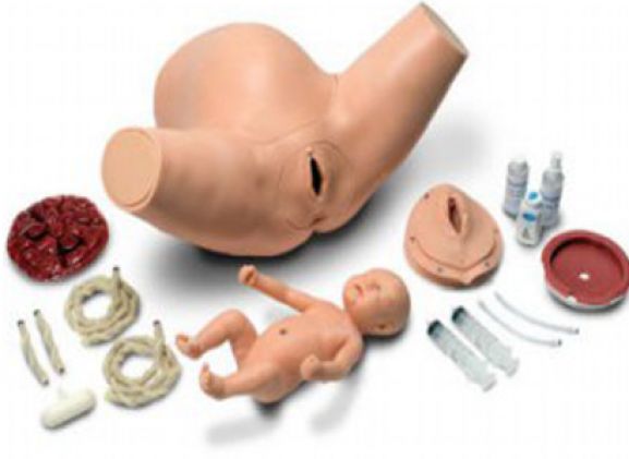 https://jayakelana.id.202-10-43-6.cpanel.site/uploads/product/torso-pelatihan-anak-super-61269cfab35c19a_cover.png