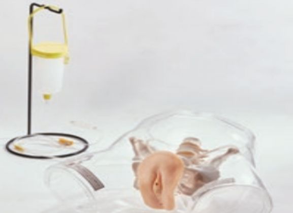 https://jayakelana.id.202-10-43-6.cpanel.site/uploads/product/transparent-female-catheter-model-9987643ffdd9207_cover.png