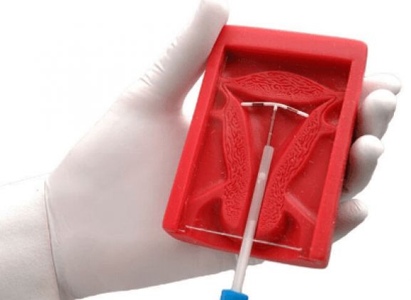 https://jayakelana.id.202-10-43-6.cpanel.site/uploads/product/uterus-ii-iud-placement-13744b31b02c2be_cover.png