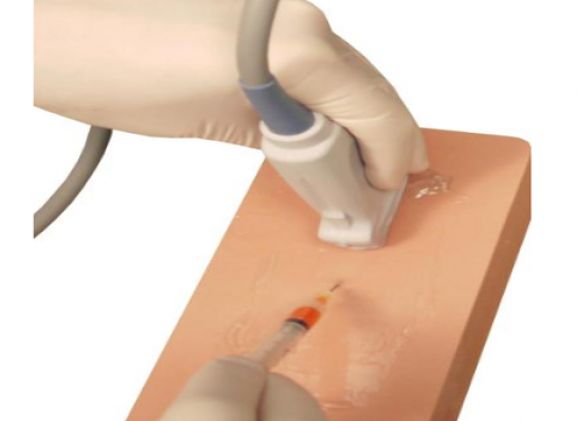 https://jayakelana.id.202-10-43-6.cpanel.site/uploads/product/venipuncture-pad-dengan-saraf-643524dc40e3ff1_cover.png